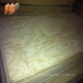 2440x1220x18mm radiate pine plywood